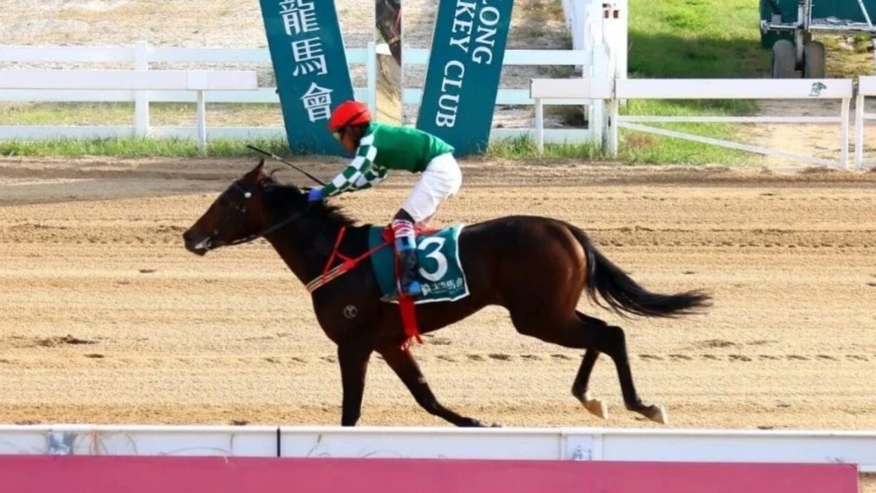 20230923玉龙国际赛马公开赛d18 第6场 国产两岁纯血马系列常规赛