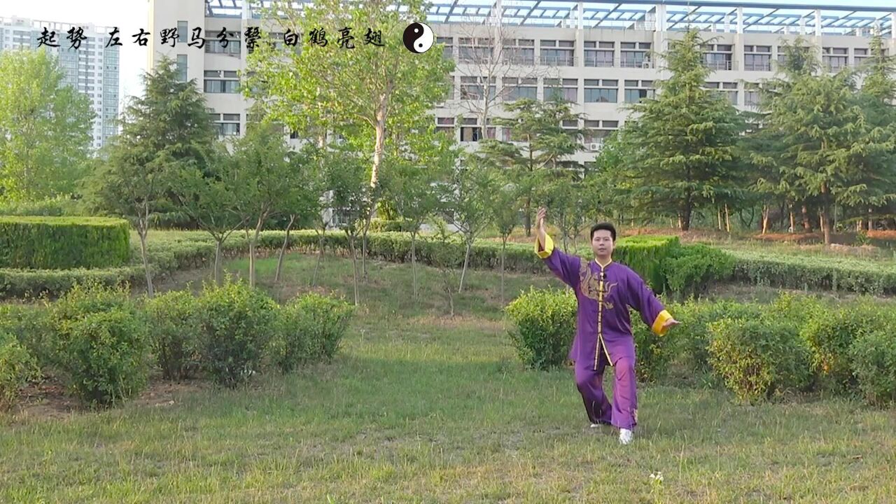 24式太极拳教与学_24式太极拳第一组动作教与学：起势、左右野马分鬃、白鹤亮翅_高清1080P在线观看平台_腾讯视频