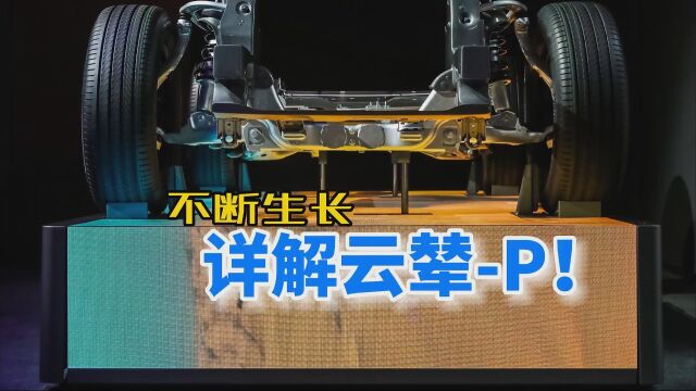 【视频】能不断地学习成长、详解比亚迪云辇P!