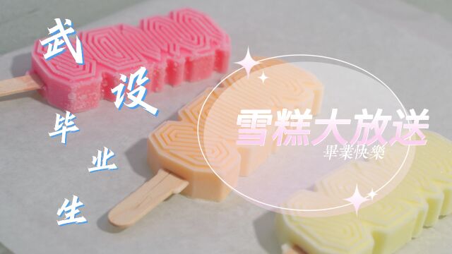 武汉设计工程学院食品与生物科技学院制作毕业雪糕全过程