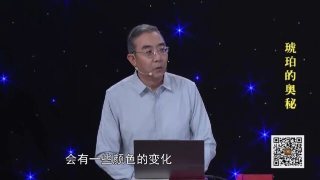 视频回顾 | 孔繁利:琥珀——东西方文化艺术的奇葩