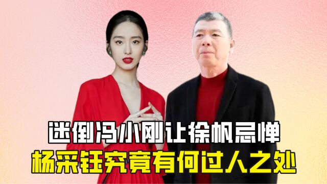 迷倒冯小刚让徐帆忌惮,杨采钰究竟有何过人之处?