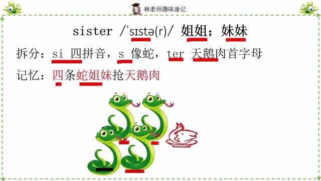 初中英语单词巧记sister、parent,英语冀教版六年级下册,小学英语单词记忆法