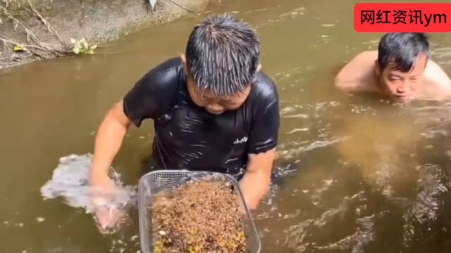 小六新号拍打野视频涨粉很快,小六直播却说不着急变现,怎么回事