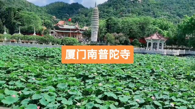 厦门南普陀寺