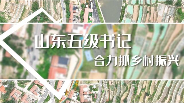 山东五级书记合力抓乡村振兴,他们这样说……