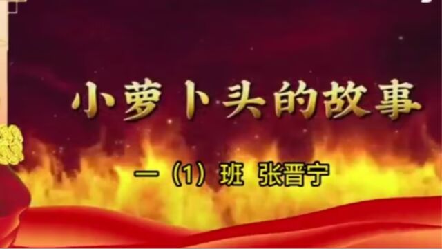 小萝卜头张晋宁6月29日