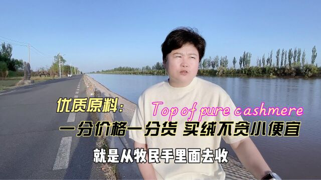 低价羊绒也许有个别能看,但是好绒一定不会贱卖