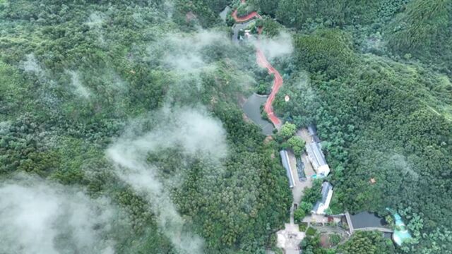 邹平:雨后鹤伴山云海美如画