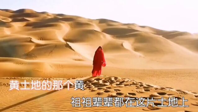 王二妮金曲 第20首《黄土地上》