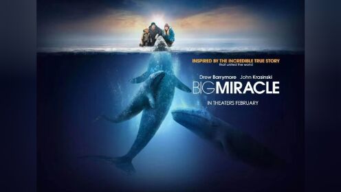 《巨大奇迹》第3集：鲸鱼宝宝不愿拖累父母，竟选择牺牲自己