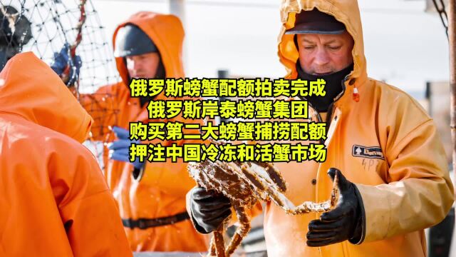 俄罗斯岸泰螃蟹集团购买第二大螃蟹配额,押注中国冷冻和活蟹市场