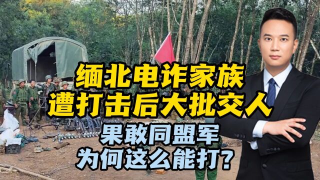 缅北电诈家族遭打击后大批交人!果敢同盟军,为何这么能打?