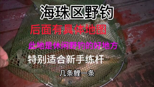 海珠区野钓,后面有具体地图,此地环境非常好,是休闲野钓的好地方,特别适合新手练杆