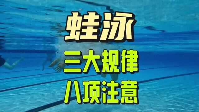 蛙泳三大规律八项注意,游泳纪律个个要牢记#游泳 #蛙泳 #游泳教学 #一起来玩水