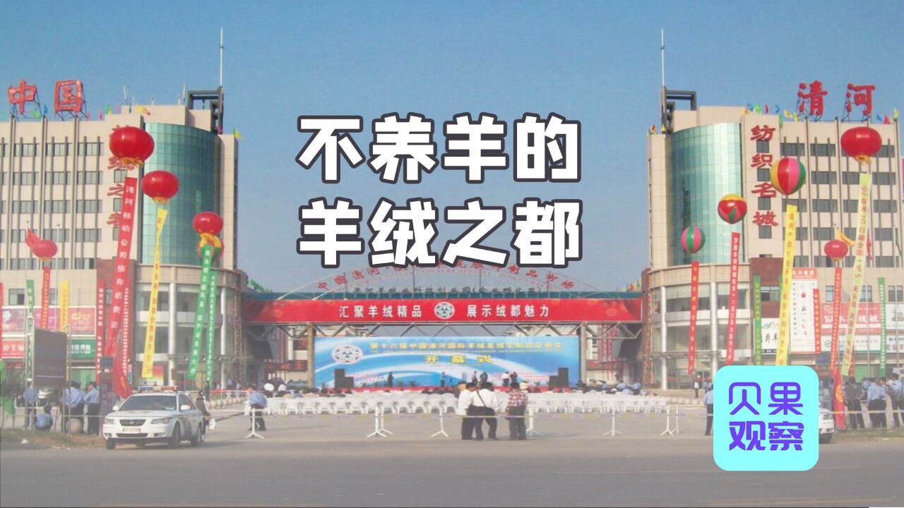 敢闯敢干连通世界!从零到中国羊绒之都,河北小县城清河做到了