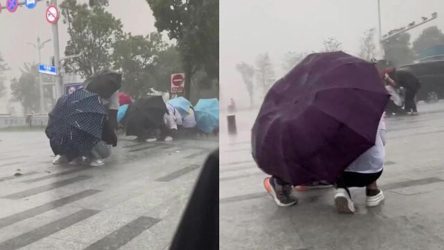 暴雨倾盆狂风大作!行人寸步难行!纷纷拿起雨伞护在身前