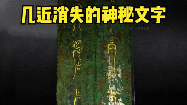 几近消失的神秘文字鸟虫书,字体和鸟型结合,国外设计师又要抄了