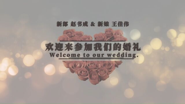 赵书成&王佳伟婚礼记录