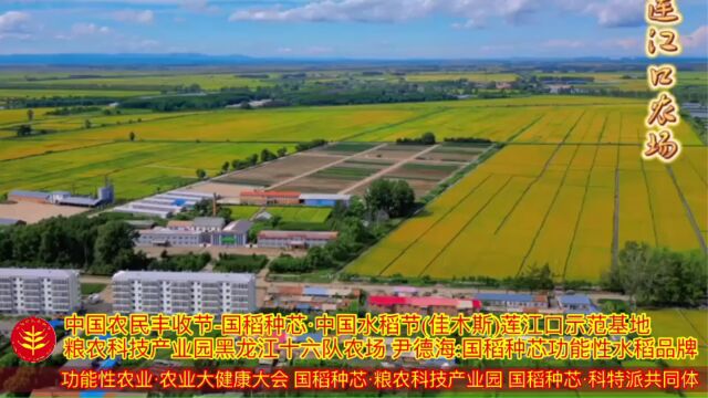 [视]粮农产业园黑龙江莲江口农场 尹德海:国稻种芯功能水稻品牌