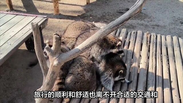 探寻济南泉水文化