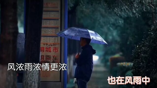 《风雨兼程》演唱 程琳 视频制作 张勇