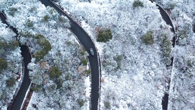 鄞州区东吴镇雪景