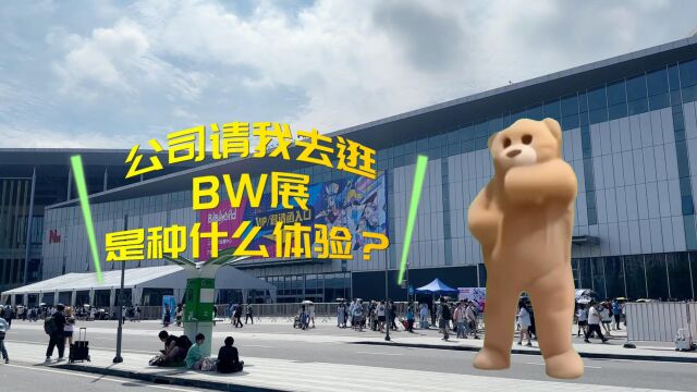 公司请我去逛BW展,是种什么体验?