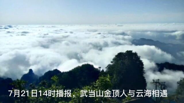 武当山金顶游人与云海相邀