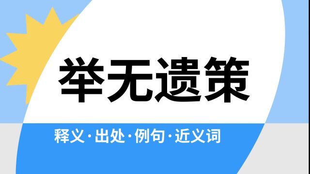 “举无遗策”是什么意思?