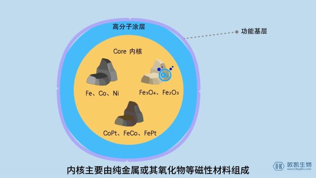 从结构到分类,详解化学发光免疫磁珠