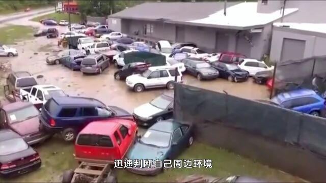 应急科普:台风来袭,暴雨洪涝季应急指南