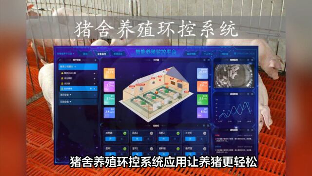 自动化管理猪舍养殖环境