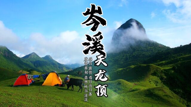 天龙顶国家山地公园是广西岑溪一处风光迷人的山地景致.景区主峰天龙顶海拔1221米,有高山草甸、原始森