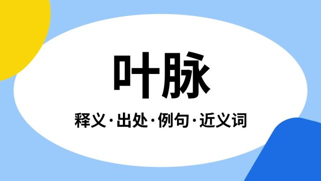 “叶脉”是什么意思?