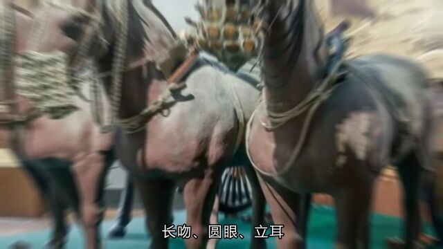 四川绵阳博物馆,有群西汉时期的木牛