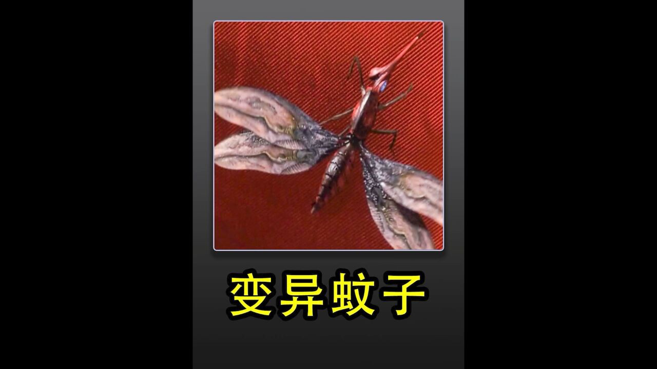 变异大蚊子03
