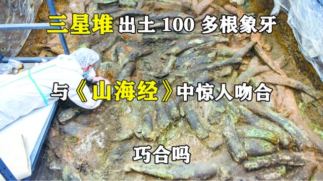 三星堆出土100多根象牙,与《山海经》中惊人吻合,巧合吗