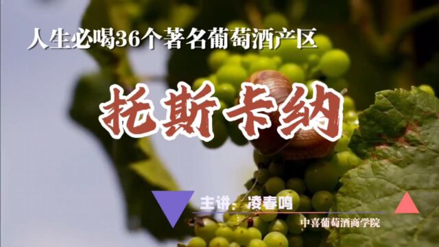 一生必喝的36个葡萄产区 托斯卡纳