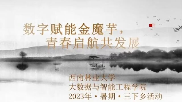 西南林业大学大智学院2023年暑假下三乡活动(1)