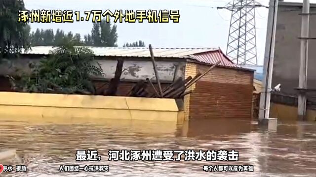 涿州新增了近1.7万个外地手机信号