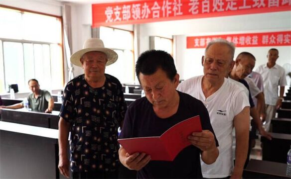 “农民变股东”诸城市226户农户喜领股权证书