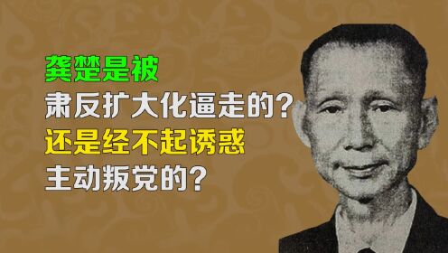 【逯子说】龚楚是因肃反扩大化被逼走的？还是经不起诱惑叛党的？_高清1080P在线观看平台_腾讯视频