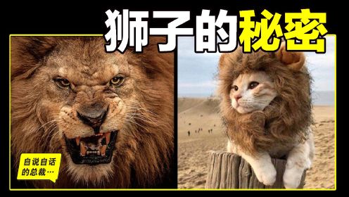 狮子：睁眼瞎，没耐力，胃不好，跑不快，还阴险狡诈？狮子为什麽爱捕猎斑马？又为什麽和鬣狗不共戴天？中国人为什么崇拜狮子？也许，我们并不了解狮子的真相