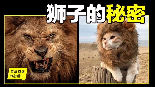 狮子：睁眼瞎，没耐力，胃不好，跑不快，还阴险狡诈？狮子为什麽爱捕猎斑马？又为什麽和鬣狗不共戴天？中国人为什么崇拜狮子？也许，我们并不了解狮子的 ...
