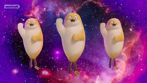 三只长的像芒果一样的海豹跳舞#可爱小海豹#搞笑动画片