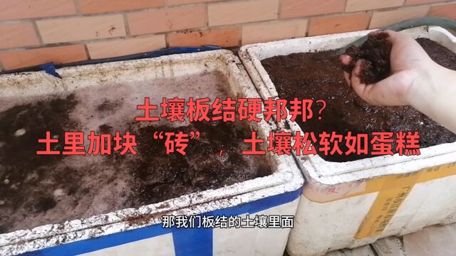 土壤板结硬邦邦?土里加块“砖”,土壤松软如蛋糕