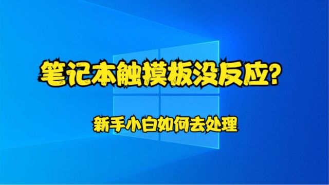 笔记本触摸板没反应?新手小白如何去处理