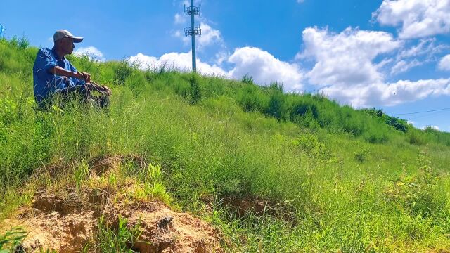 乡村网红桥另一番景象,只是您没留意,其实最美风景就在你眼前!