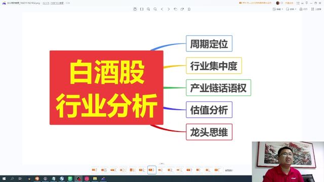 白酒股行业分析